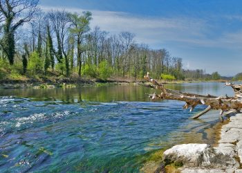 4 Metode Pencarian Eril yang Dilakukan Tim SAR Bern Swiss