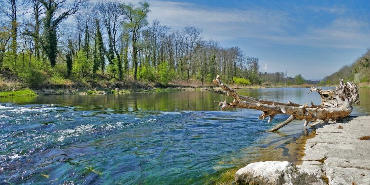 4 Metode Pencarian Eril yang Dilakukan Tim SAR Bern Swiss
