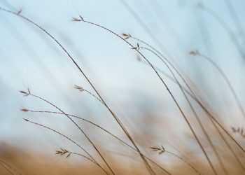 Bersikap Tenang kepada Orang yang Membencimu