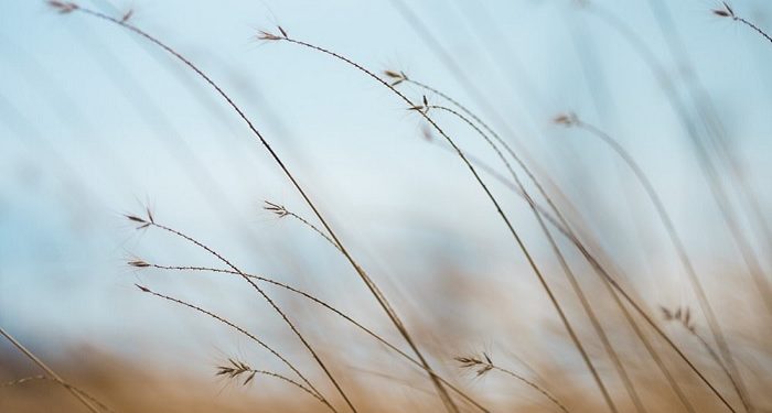 Bersikap Tenang kepada Orang yang Membencimu