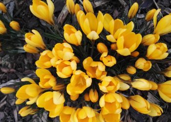 10 Amalan yang Bisa Dilanjutkan Setelah Ramadan