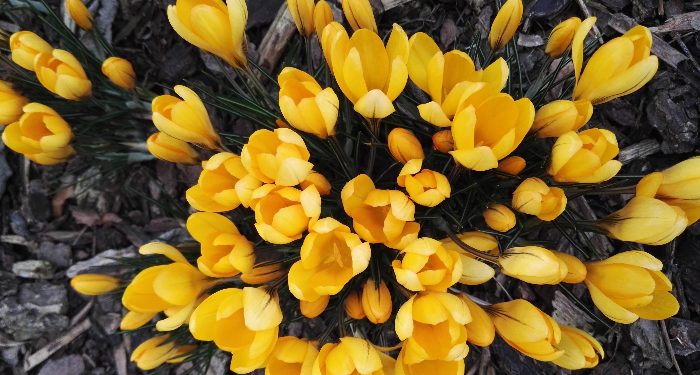 10 Amalan yang Bisa Dilanjutkan Setelah Ramadan