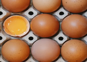 bahaya mengonsumsi telur mentah
