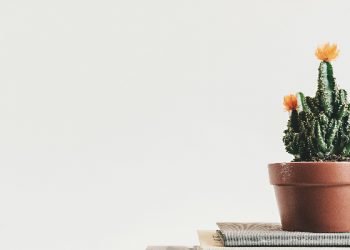 tips menumbuhkan sikap zuhud