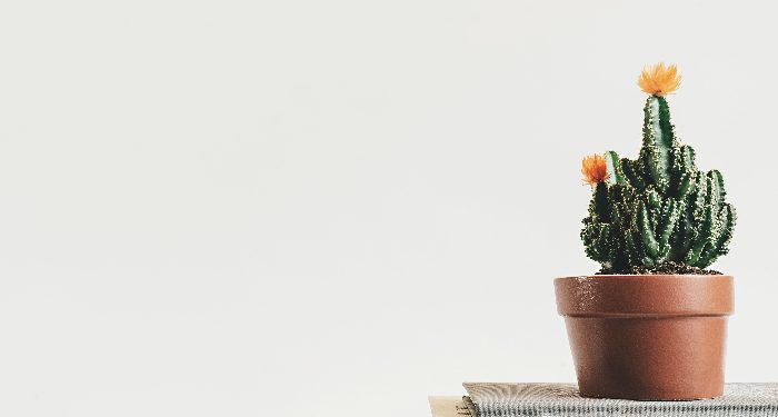 tips menumbuhkan sikap zuhud