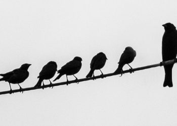 Hati-hati Menjadi Senior