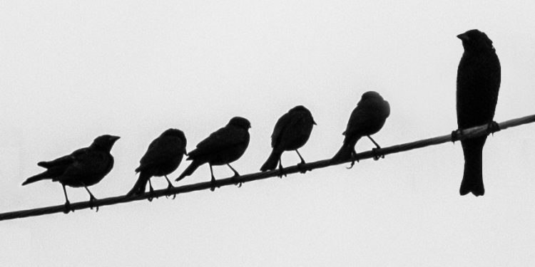 Hati-hati Menjadi Senior