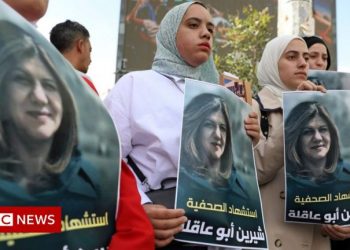 Menguji Amerika dan Barat di Kasus Shireen