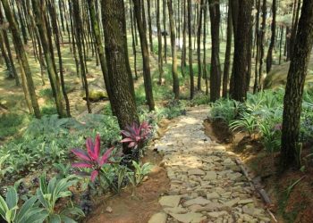 Potret Wisata Alam Gunung Pancar, Auto Bikin Betah