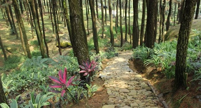 Potret Wisata Alam Gunung Pancar, Auto Bikin Betah