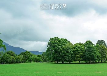 Informasi dan Tiket Masuk Kebun Raya Bogor