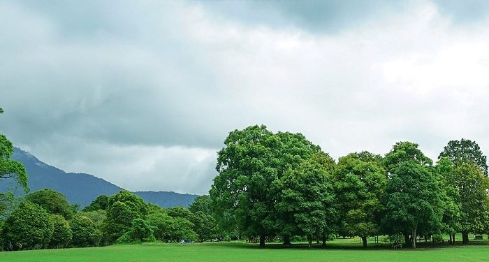 Informasi dan Tiket Masuk Kebun Raya Bogor