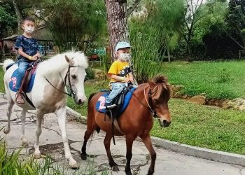 Rekomendasi Tempat Wisata Anak di Bandung