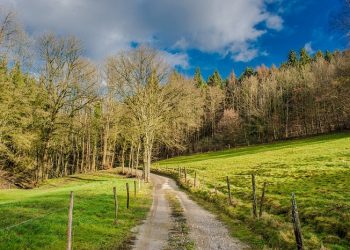 Allah Mengajarkan Ilmu kepada Nabi Adam
