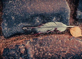 Kisah Qabil dan Habil, Tragedi Pembunuhan Pertama di Dunia