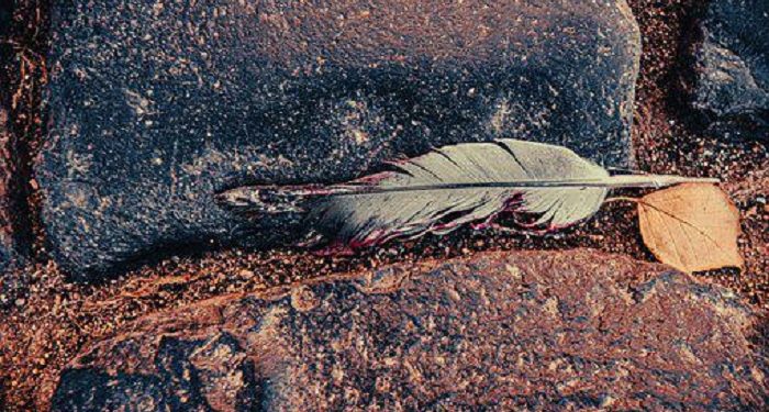 Kisah Qabil dan Habil, Tragedi Pembunuhan Pertama di Dunia