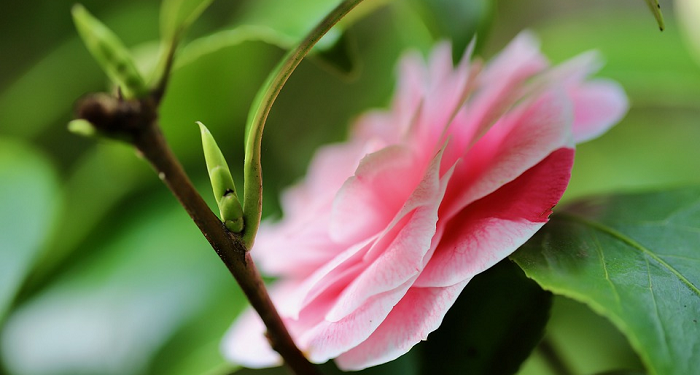 7 Alasan Keluarga Muslim Harus Pandai Memilih Emosi