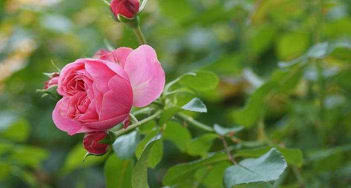 Keharmonisan Harus Diutamakan