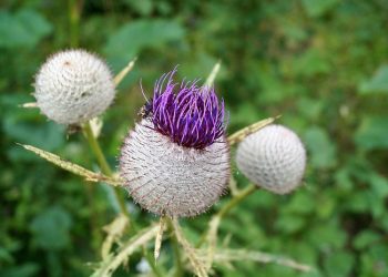 9 Amal yang Mengantarkan Keluarga Muslim Bersama Sampai Surga