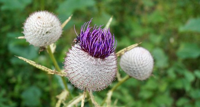 9 Amal yang Mengantarkan Keluarga Muslim Bersama Sampai Surga