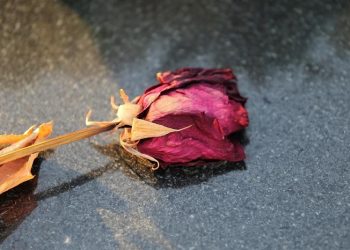 Hukum Menikahi Wanita Hamil Hasil Zina