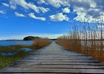 Perdebatan Nabi Adam dan Nabi Musa