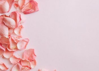 Peran Seorang Ibu Mencetak Pahlawan Hebat dalam Sejarah Islam