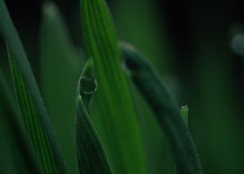 Timbangan Amal pada Hari Kiamat