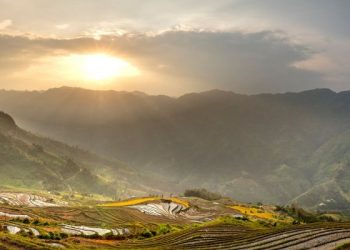 Keutamaan Aktivitas di Awal Pagi