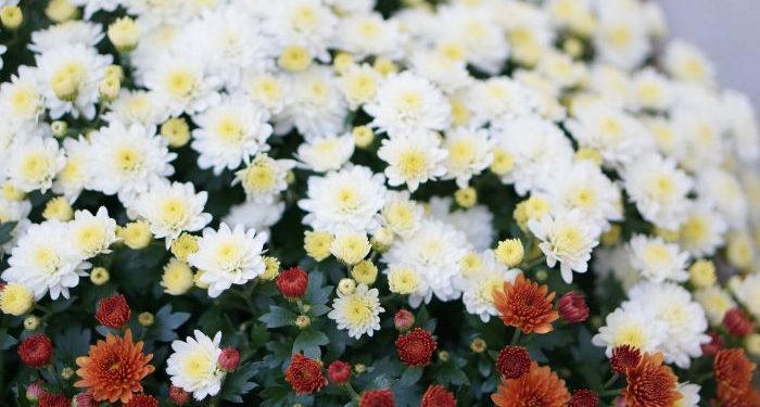 Hal yang Menghancurkan Amal