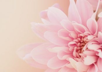 10 Sebab Penghapus Dosa