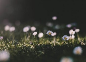 Taubat Membuat Keburukan Diganti Kebaikan