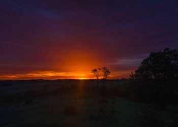 Thalhah bin Ubaidillah, Sahabat yang Melindungi Rasulullah dengan Tubuhnya dalam Perang Uhud