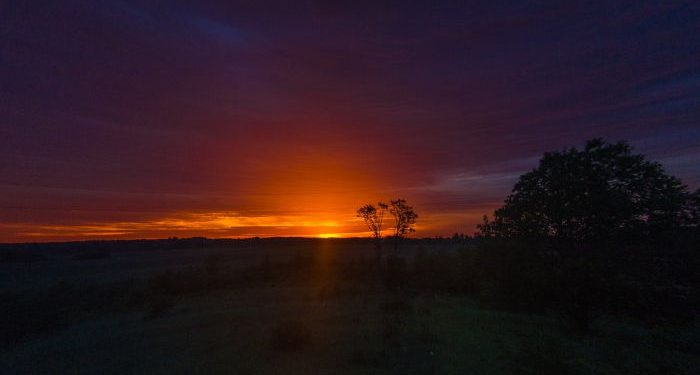Thalhah bin Ubaidillah, Sahabat yang Melindungi Rasulullah dengan Tubuhnya dalam Perang Uhud