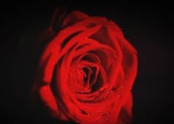 4 Ciri Orang yang Bersyukur