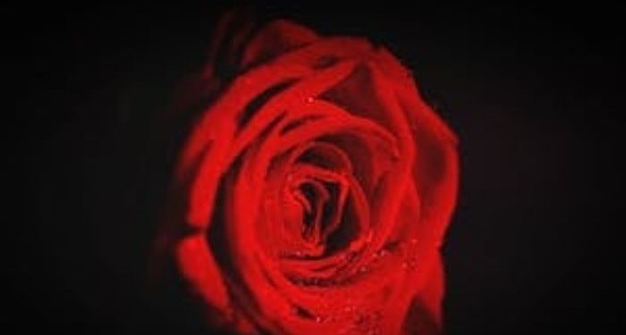 4 Ciri Orang yang Bersyukur