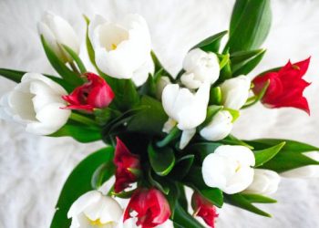 Manusia sangat Butuh Dakwah