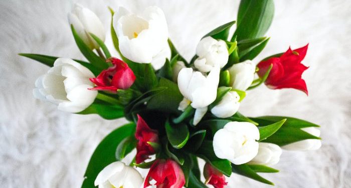 Manusia sangat Butuh Dakwah