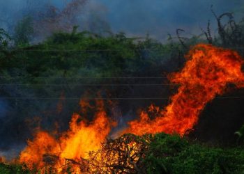 Cara agar Allah Segera Mengangkat Musibah