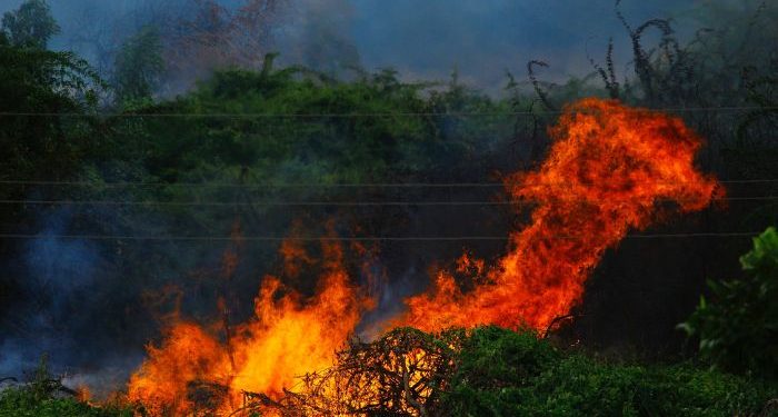 Cara agar Allah Segera Mengangkat Musibah