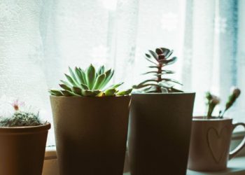 Jaga Hubungan Bertetangga