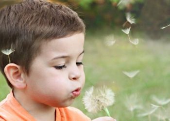 Kiat Mendidik Anak agar Soleh dan Solehah