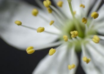 Doa paling Lengkap, Doa Memohon Kebaikan Dunia Akhirat