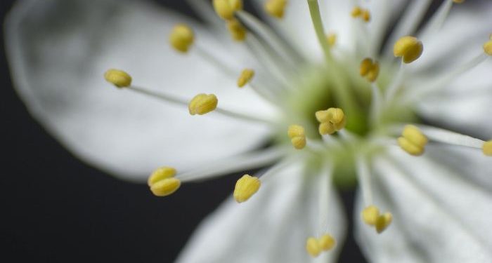 Doa paling Lengkap, Doa Memohon Kebaikan Dunia Akhirat