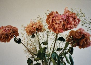 Tafsir Surat An-Nashr Ayat 3