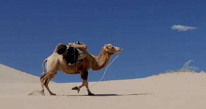 Alasan Utama Nabi Hijrah Ke Madinah Bukan Karena Ancaman Keamanan