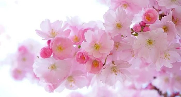 Menjaga Hubungan yang Harmonis Penuh Asmara