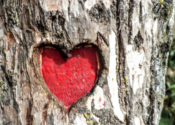 Membuat Pasangan Nyaman