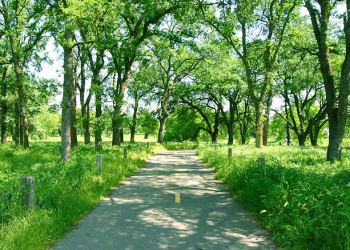 Jangan Remehkan Nikmat