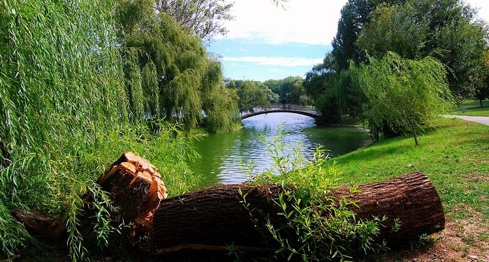 An-Nisa' Ayat 82, Tersebarnya Kemaksiatan Karena Kurang Tadabbur